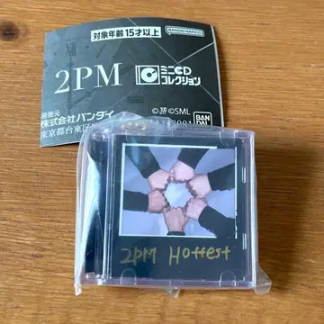 2PM 미니 CD 컬렉션 가챠가챠 시크릿 반다이 가샤폰