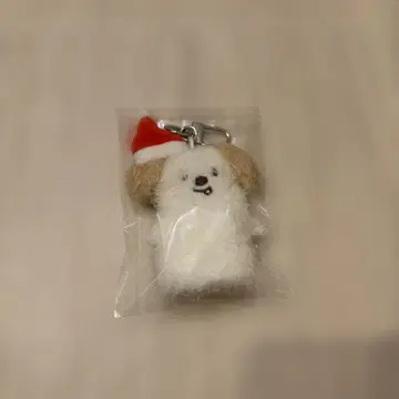 RIIZE Anton 몽룡이 봉제 인형 키링 109POPUP