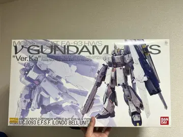 MG 1/100 뉴 건담 HWS Ver.Ka