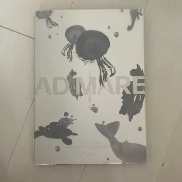 NMIXX/AD MARE:1st Single(Light Ver.)
