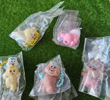 빤쮸토끼 퐁차무 초코 코팅 비스킷 마스코트
