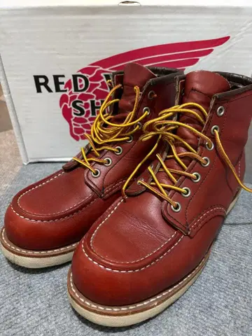 RED WING 아이리쉬 세터 8875 사이즈 6 (25cm 상당)