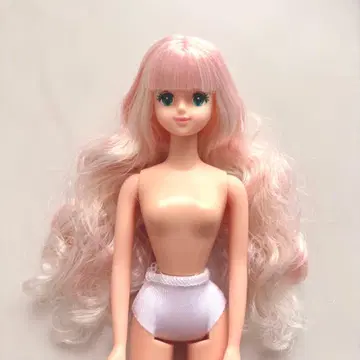 아벨 리카짱 캐슬 오타노시미 인형 리틀팩토리 제니