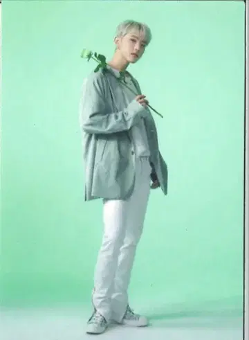 SEVENTEEN 2022 HANABI 호시 트레이딩 카드 0031