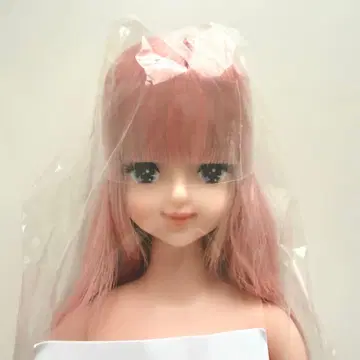 율리시아 리카짱 캐슬 리틀팩토리 오타노시미 인형 27cm