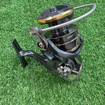 다이와 칼디아 SW 8000-P