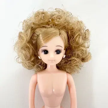 리카짱 캐슬 리카짱 오리지널 컬렉션 모델 아프로