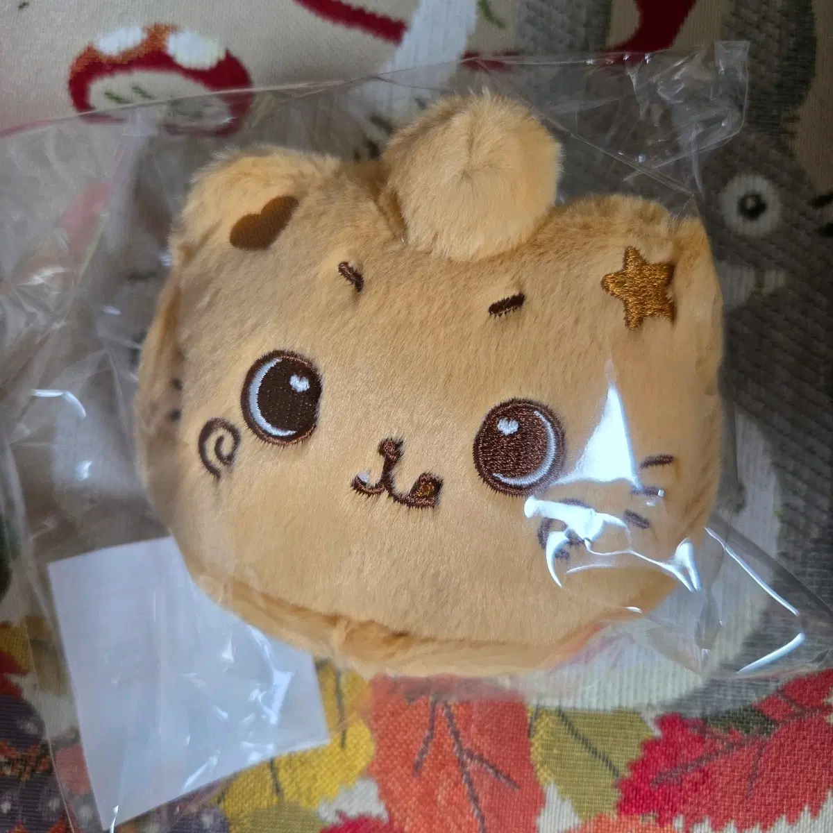 NCT wish riku Kuri doll WTS | Bunjang Global