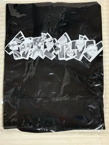 이나즈마 일레븐 이나이레 제국학원 GoodsLuck 토트백