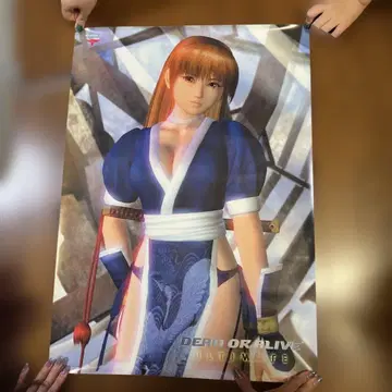 DEAD OR ALIVE ULTIMATE 카스미 포스터