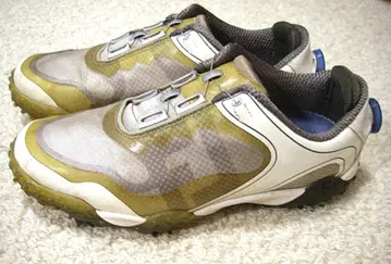 FootJoy 골프화 25.5cm(W) 다이얼식