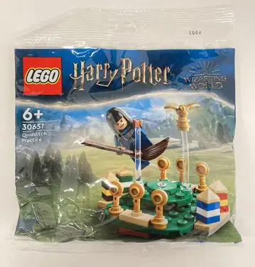 LEGO (POLY BAG) QUIDDITCH PRACTICE 30651