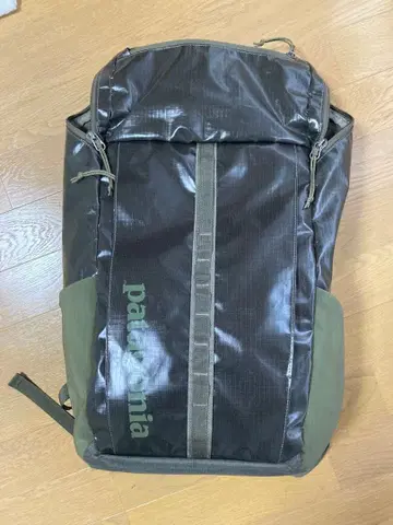 Patagonia 백팩 카키