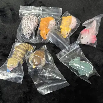 테노리 프렌즈 피규어 세트