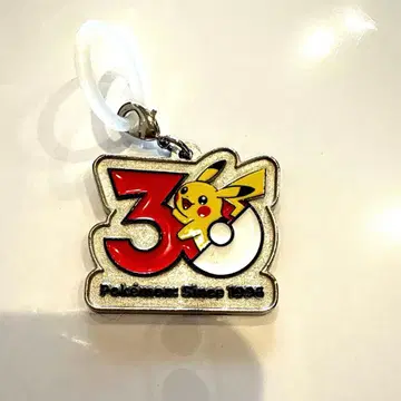 포켓몬 30주년 메탈 참 마스코트 피카츄
