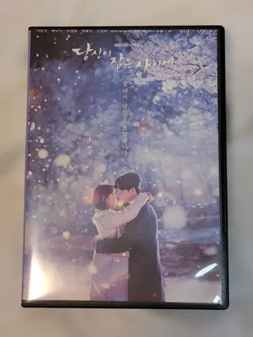 [이종석 정해인] 한국 드라마 DVD 당신이 잠든 사이에