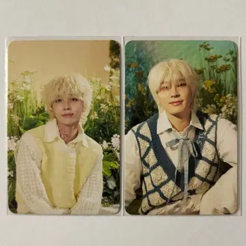 SEVENTEEN 정한 원우 THIS MAN SHOPEE 트레이딩 카드