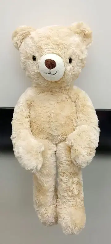 시나다 곰 봉제 인형 미튼 베어