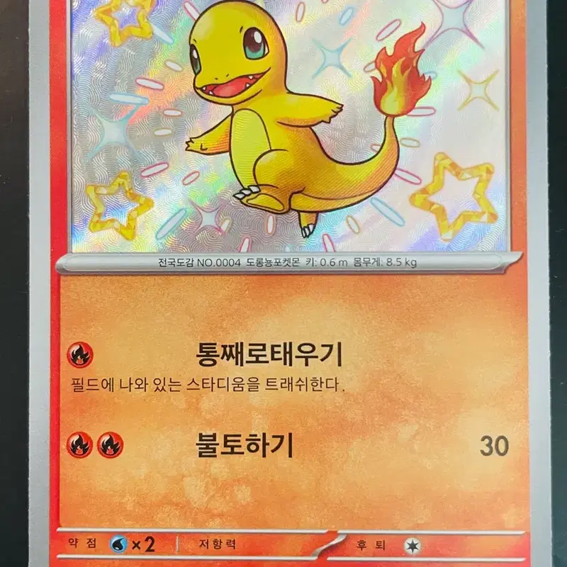포켓몬 카드 파이리 이로치