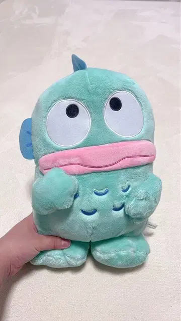 한교동 봉제 인형 산리오