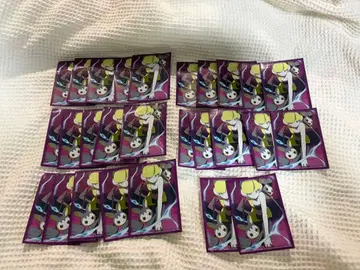 카드 슬리브 카밀레