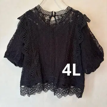 전체 레이스 성숙/러블리 반팔 블라우스 블랙 4L 빅 사이즈