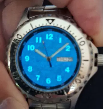 CASIO TIMBER CRUISER