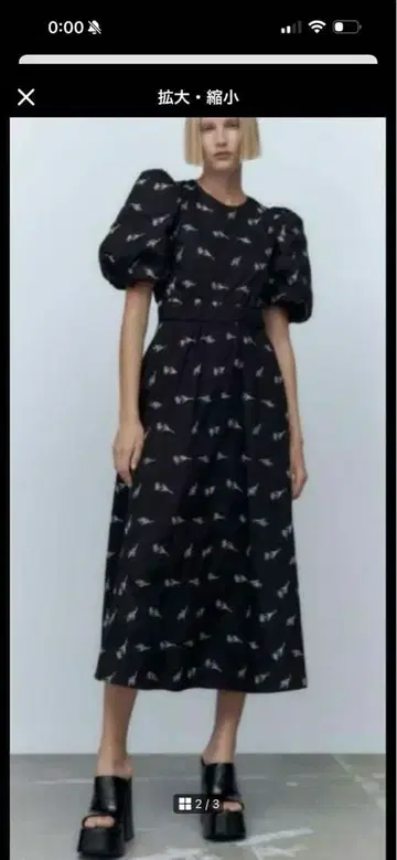 ZARA 퍼프 슬리브 꽃무늬 자수 원피스