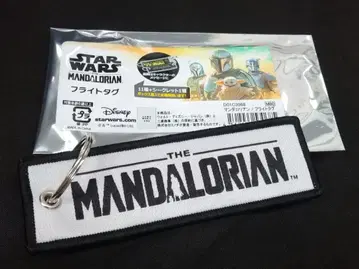 STAR WARS 만달로리안 플라이트 택 스타 워즈 그로구