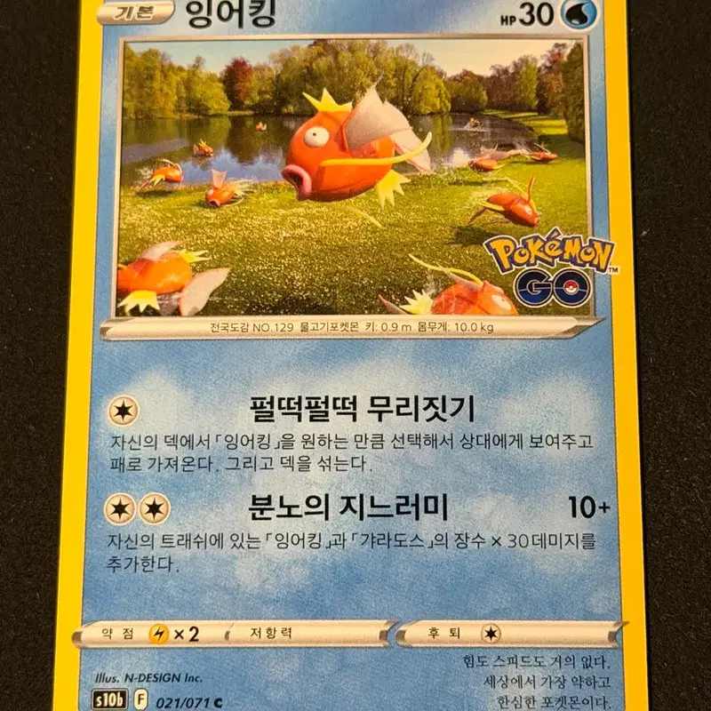 고전 포켓몬카드 잉어킹 포켓몬고
