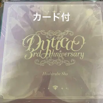 니지산지 Dytica 3주년 미니 트렁크 케이스 호시미치 쇼 폴라로이드