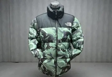 THE NORTH FACE 눕시 다운 자켓