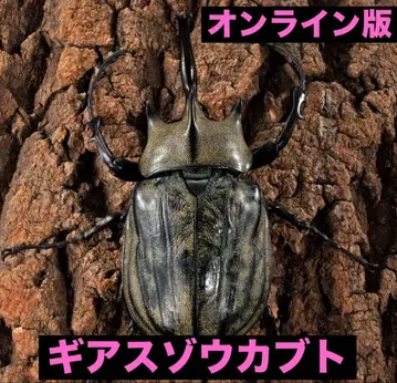 [온라인판] 생물대도감 어드밴스 기어스조가부토 단품
