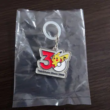 포켓몬 30주년 기념 메탈 키링