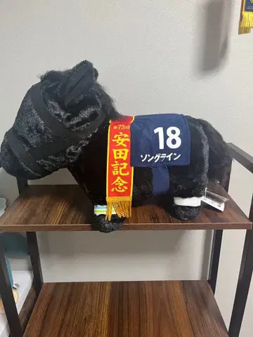 서러브레드 컬렉션 송라인