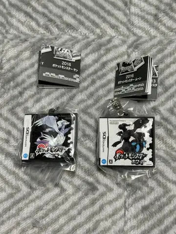 포켓몬 패키지 & 카트리지 키링 컬렉션 블랙 화이트