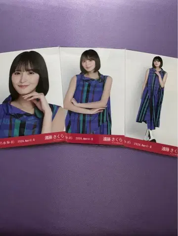 니지카46 브로마이드 엔도 사쿠라 체크 3종 컴프 새상품급