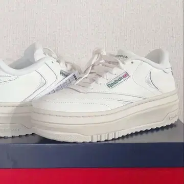 리복 클럽 C 엑스트라 24.5cm 초크