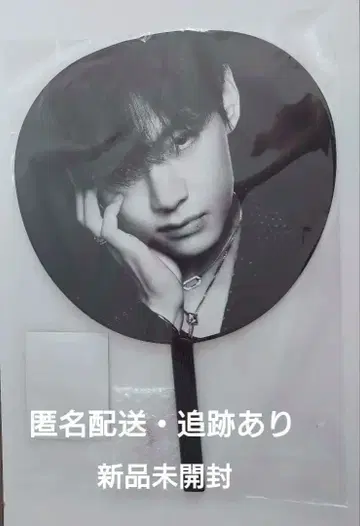 BTS 부채 ARIRANG 일본 한정판 이미지 피켓 V 태현 태태