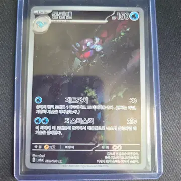 돌핀맨 AR
