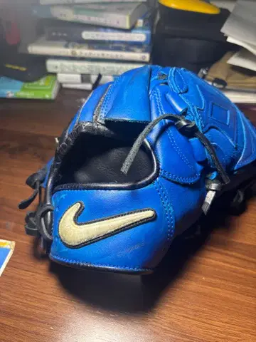 NIKE 그로브 ( 연식용 )