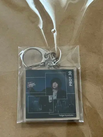 타이가 쿄모토 PROT.30 특전 세트 3종 덤 포함