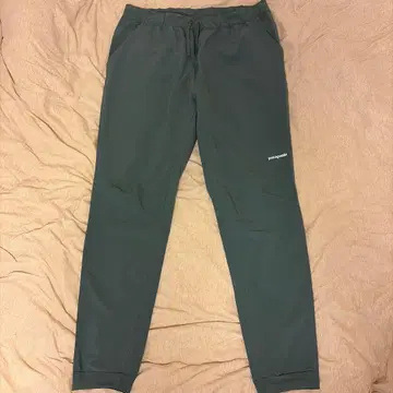 Patagonia 텔본느 조거 L NOUVEAU GREEN