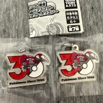 포켓몬 30주년 메탈 참 마스코트 그란돈 2개 세트