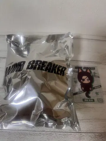 윈브레 WIND BREAKER 캐릭터 누이 스오우 하야토