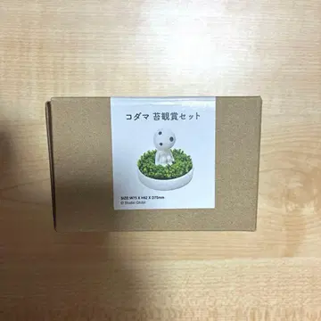 지브리 파크 코다마 이끼 감상 세트