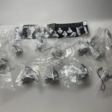 네이처 테크니컬러 석고 데셍 스트랩 화이트 12종만