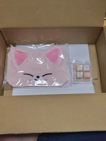 Stray Kids 파우치 Foxi.Ny 아이엔