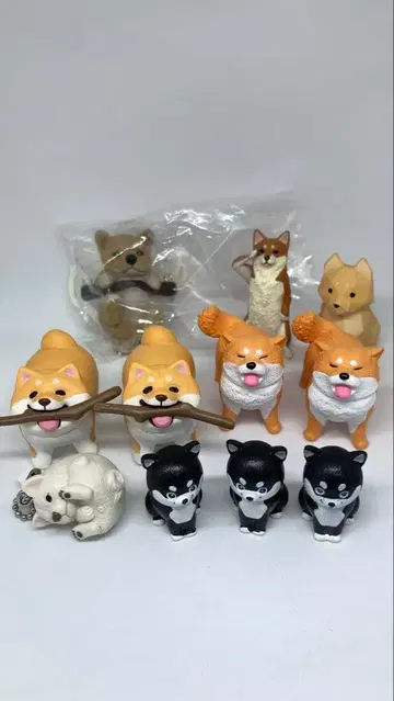 시바견 가챠 묶음 판매
