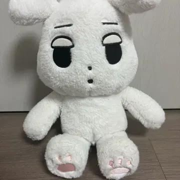 aespa 굿즈 카리나 윈터 인형 대형 찌먕이 직직 | 브랜드 중고거래
